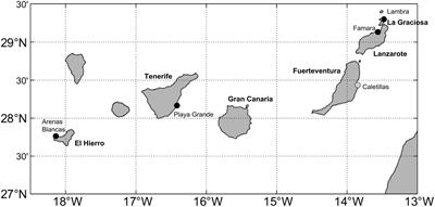 Exploring the origin and fate of surface and sub-surface marine microplastics in the Canary Islands region